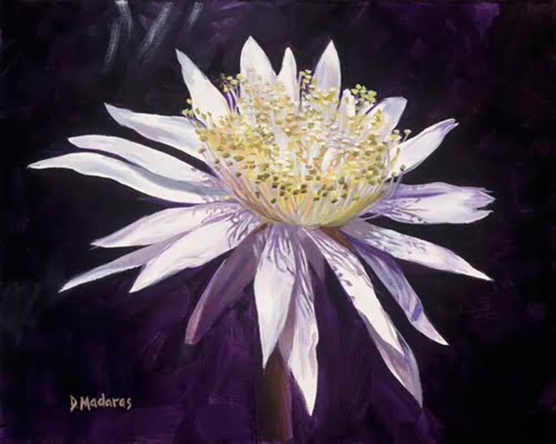 NIGHT BLOOMING CEREUS by Diana Madaras