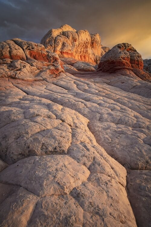 WHITE POCKET by Rocky LaRose