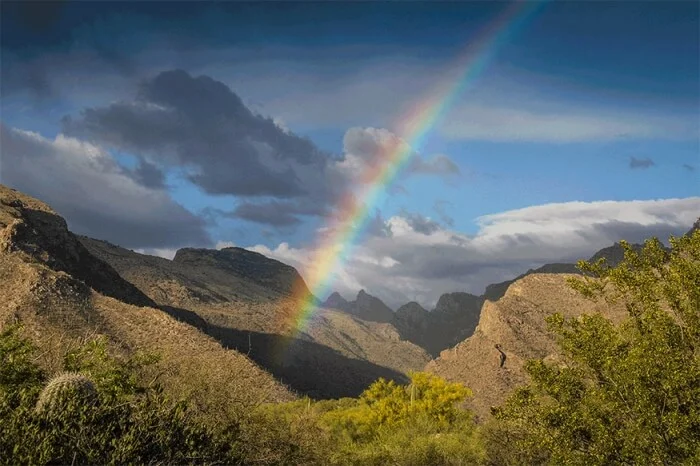 PIMA CANYON RAINBOW by Rocky LaRose
